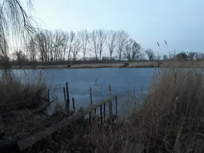 Stockscher Teich (Wolmirsleben)