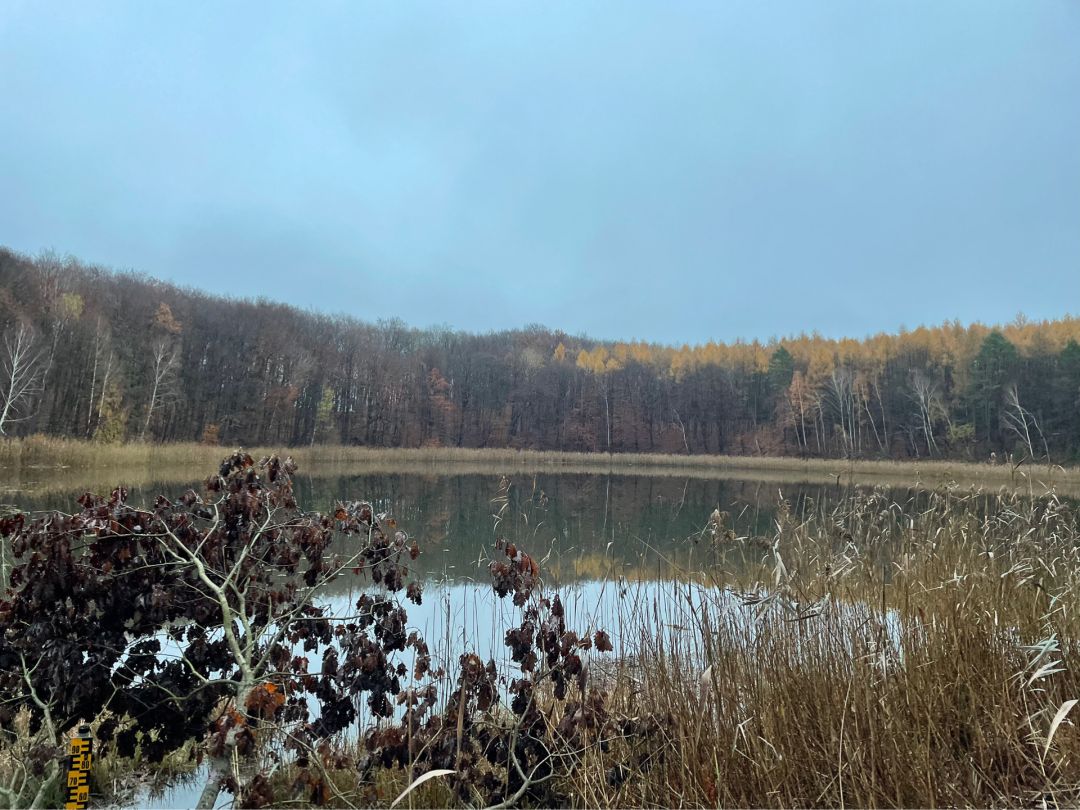 Dreiecksee angeln
