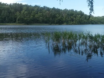 Röthsee (Godendorf)