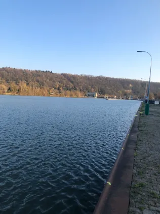 Neckar (Mundelsheim-Hessigheim)