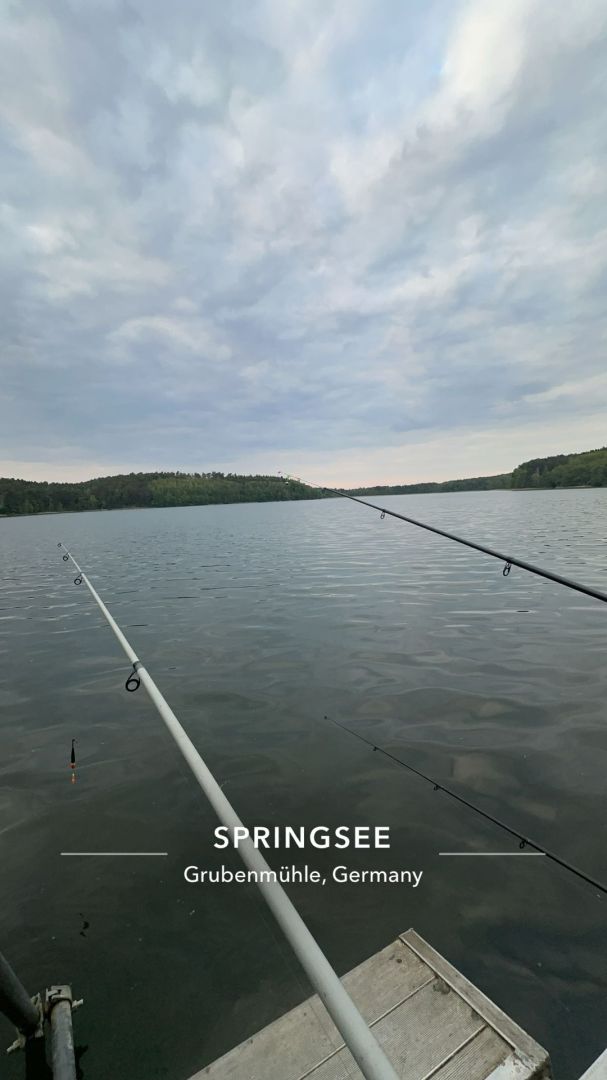Springsee angeln