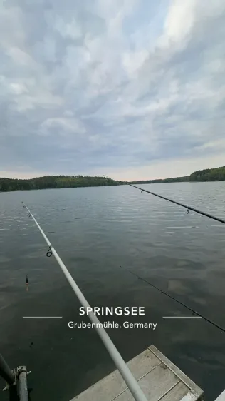 Springsee