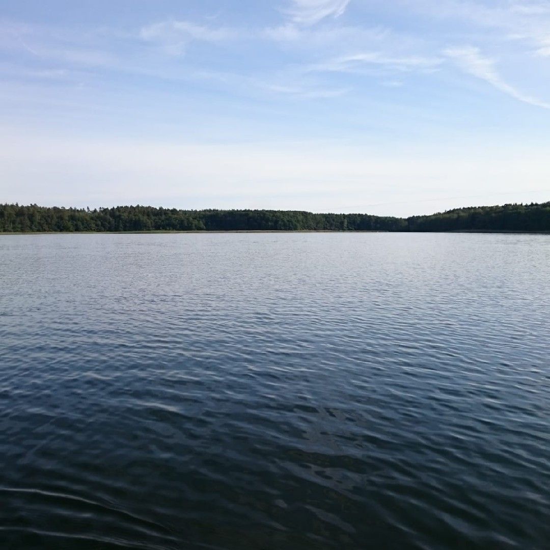 Fehrlingsee angeln