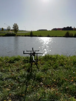 Goldbachteich (Schwarzenbach/Saale)