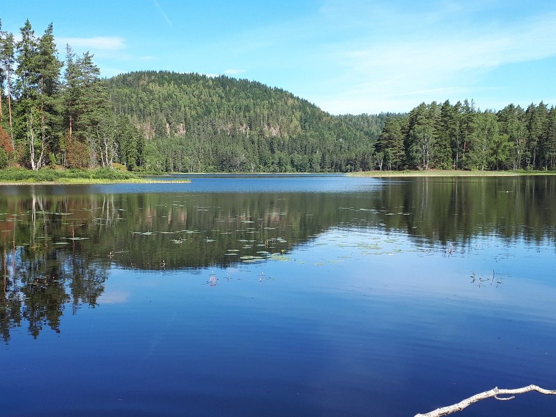 Algutstorpasjön angeln