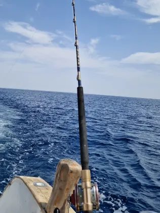 Rotes Meer (Marsa Alam)