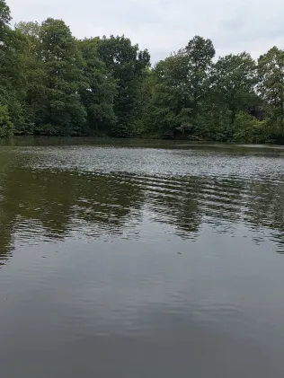 Mergekuhle Bollingstedt