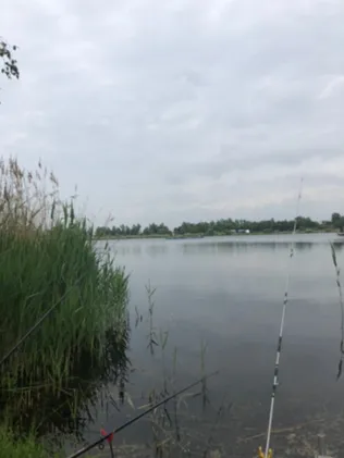 Angelpark Weddendorf