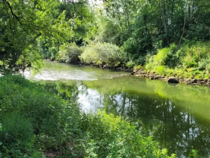 Neckar (Kirchentellinsfurt)