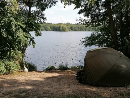 Kiessee Maust