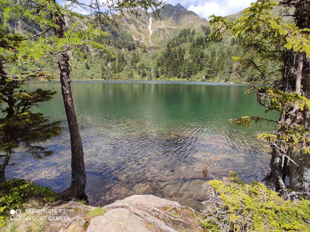 Großer Scheibelsee (Hohentauern) angeln