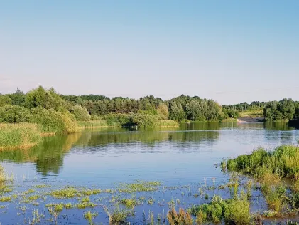 Baggersee Todtglüsingen