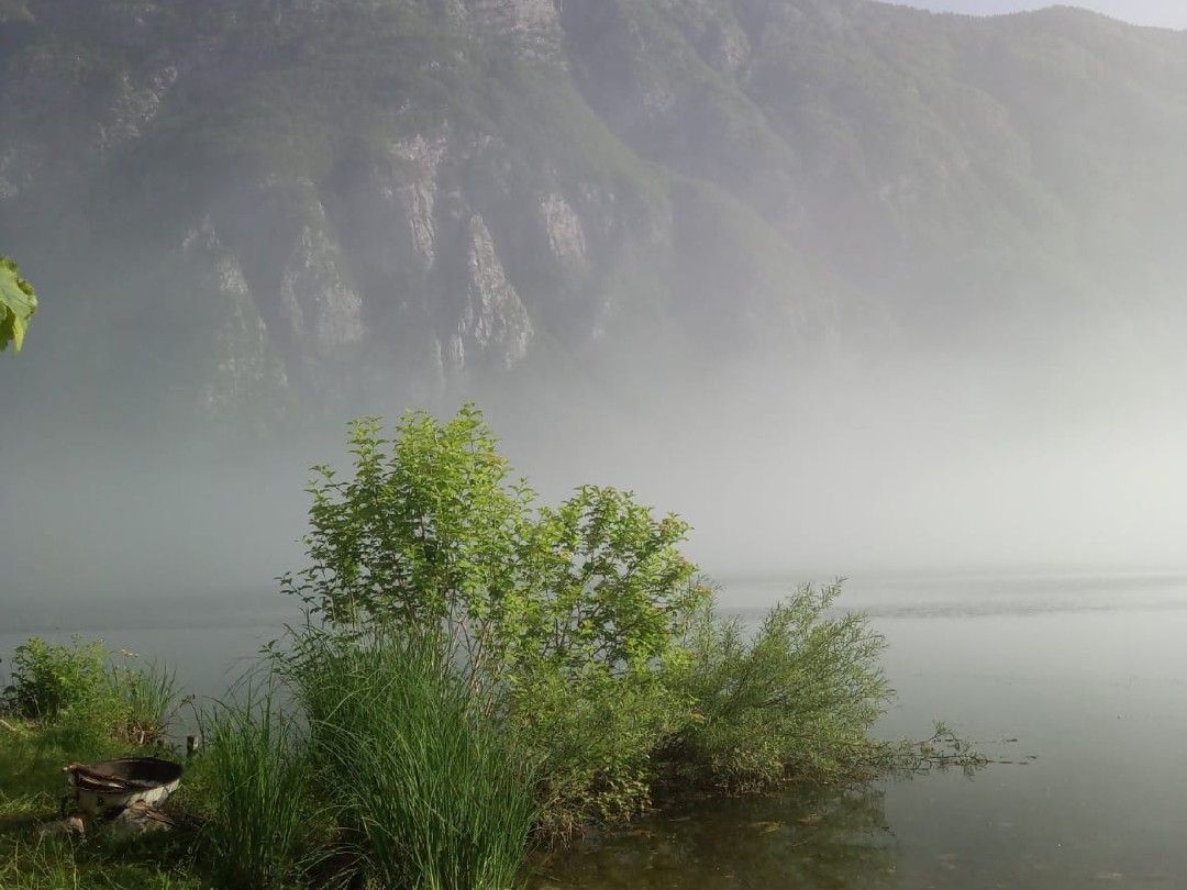 Bohinjsko jezero angeln