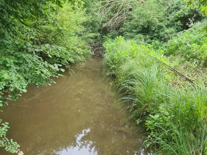 Kleine Erft (Bergheim)