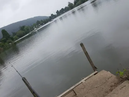 Weserdurchstichsee (Borlefzen)