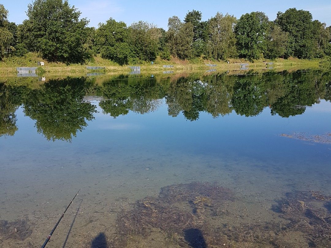 Fischersee Forelle (Kronshorst) angeln