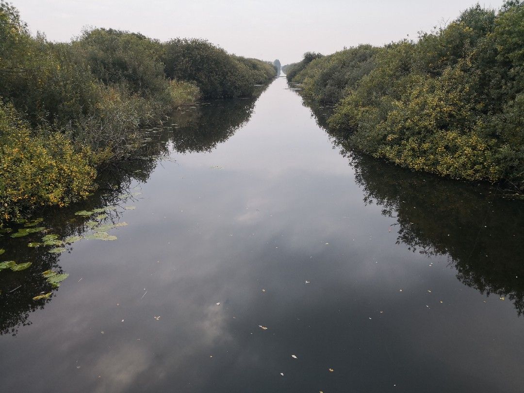 Stichkanal Oldersbek angeln