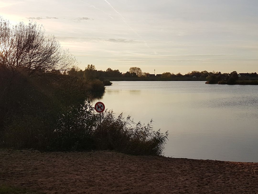 Dreyer Hafen (Alte Weser) angeln