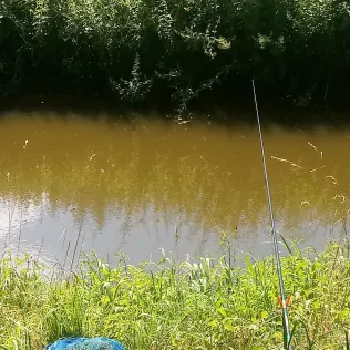 Steinfurter Aa (Wettringen)