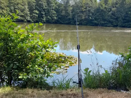 Elkenrother Weiher