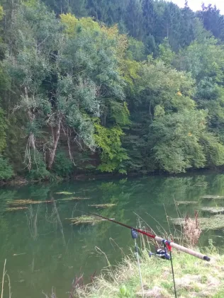 Donau (Beuron)