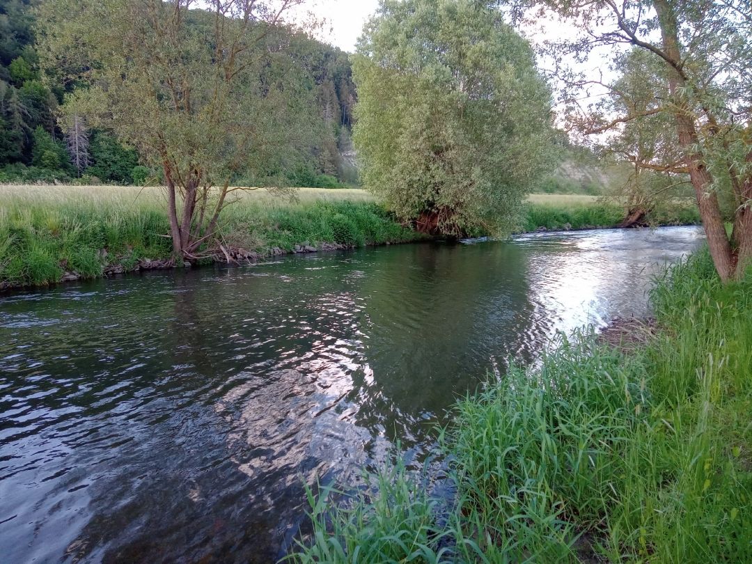 Diemel (Liebenau-Ostheim) angeln