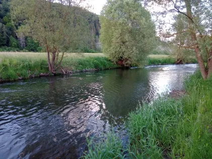 Diemel (Liebenau-Ostheim)