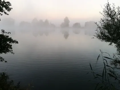 Lanzinger Weiher