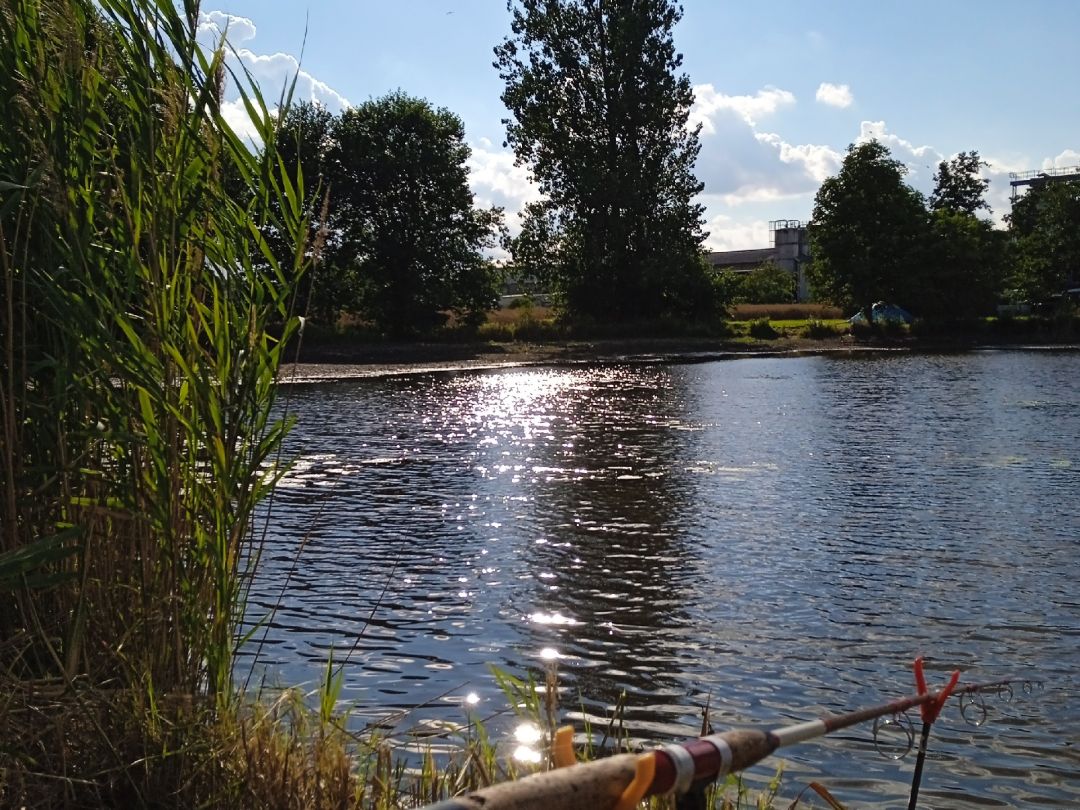 Trockenwerk Teich (Gröden) angeln