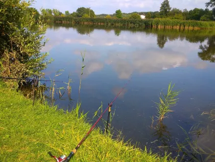 Seibtscher Teich