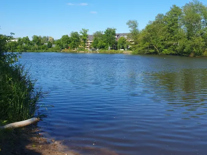 Mühlenteich (Buxtehude)