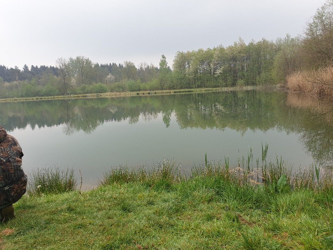 Hechteweiher (Herschbach) angeln