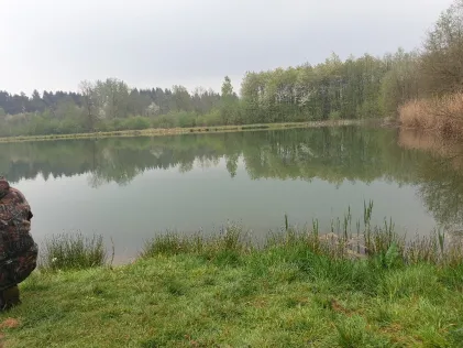 Hechteweiher (Herschbach)