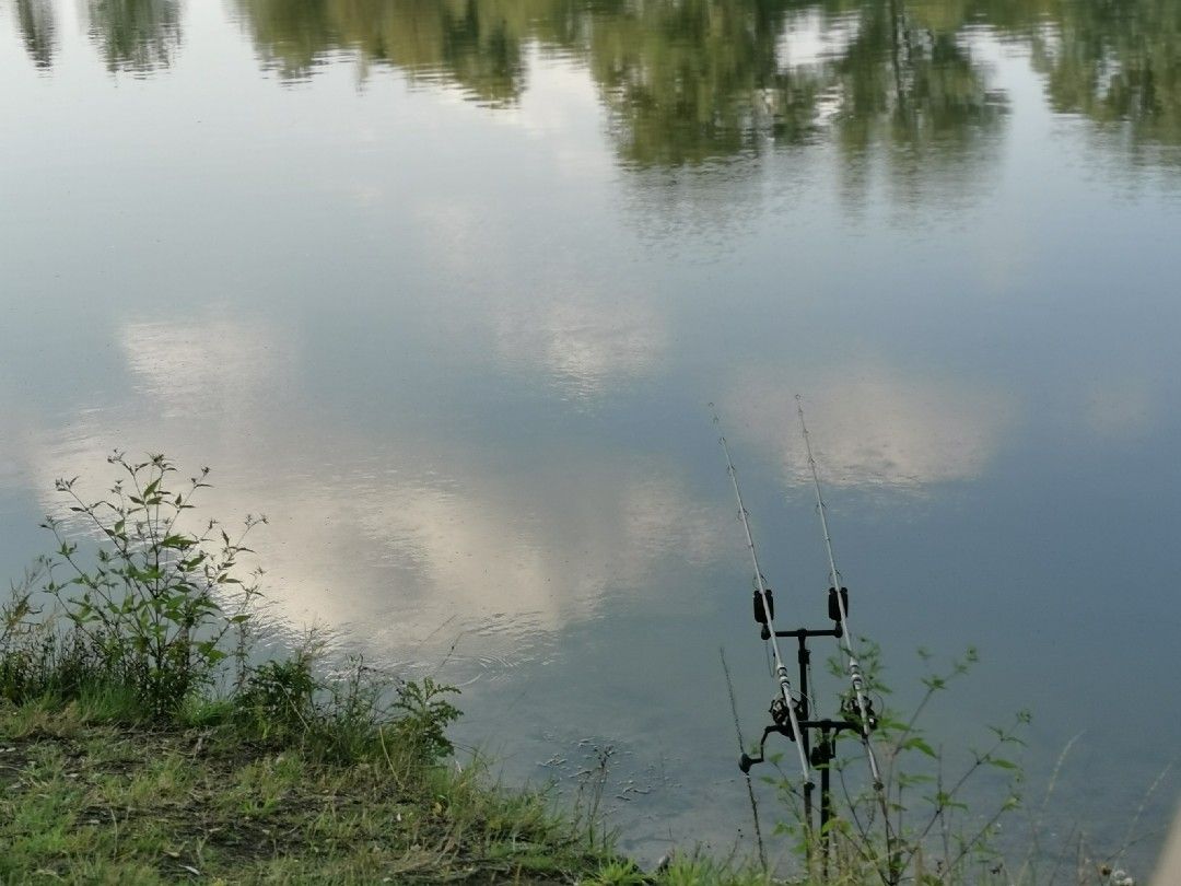 Tegernsee (Haßbergen) angeln