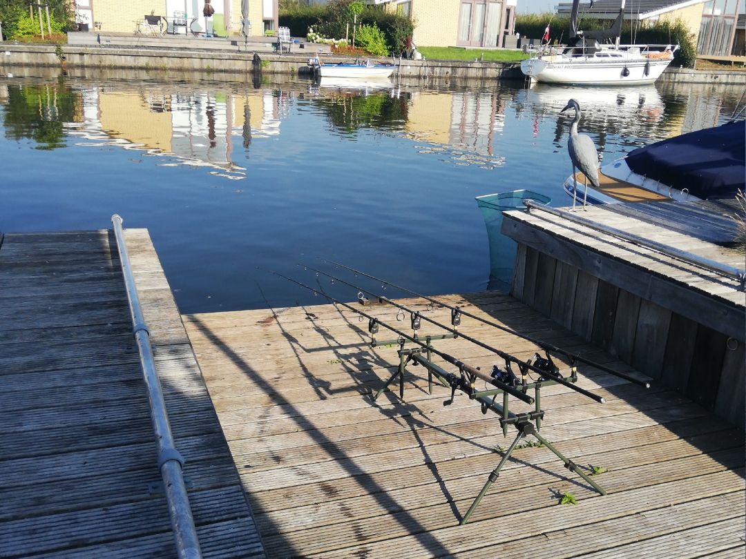 Streamkanaal (Lemmer) angeln