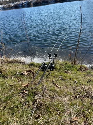 Freiberger Mulde (Westewitz)