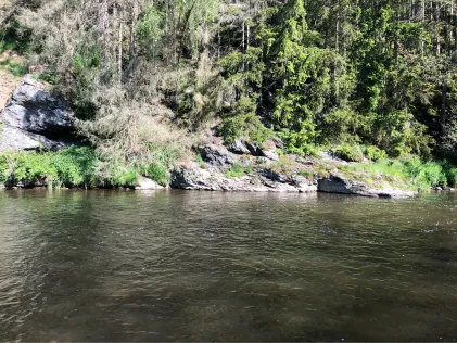 Sächsische Saale (Köditz)