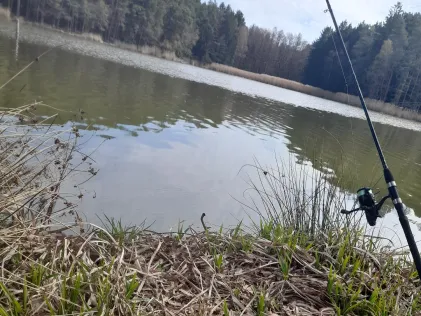 Wolferszwinger Weiher