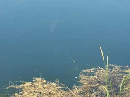 Tonkuhle Wanzleben