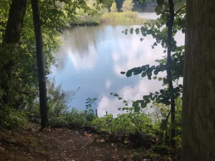Lucretiasee (Brühl)
