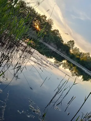 Vogelwaldsee (St. Leon-Rot)