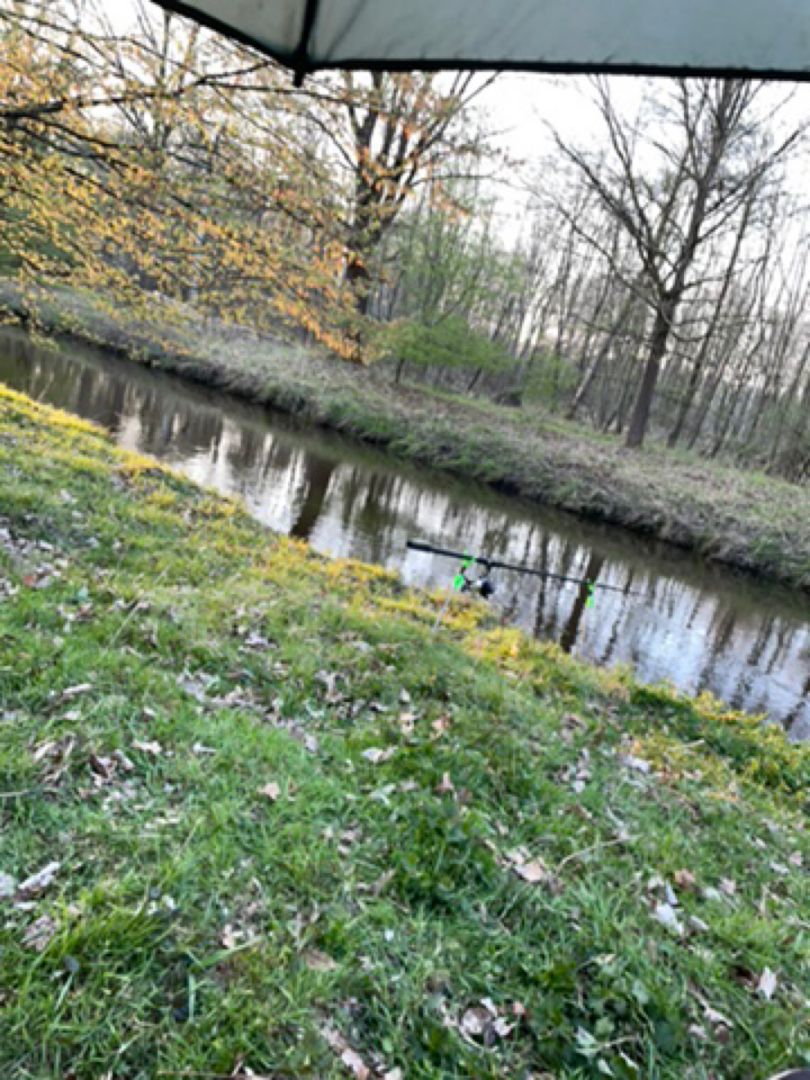 Allerkanal (Weyhausen) angeln