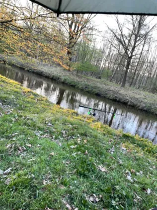 Allerkanal (Weyhausen)