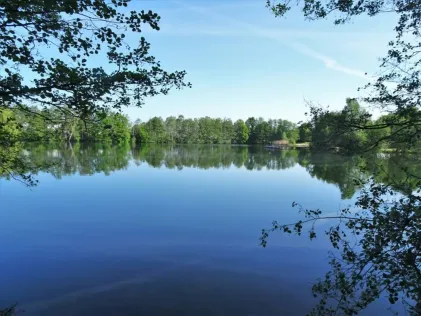 Kirchhorster See