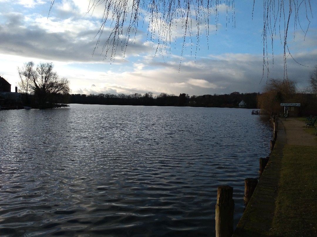 Stadtsee Mölln angeln