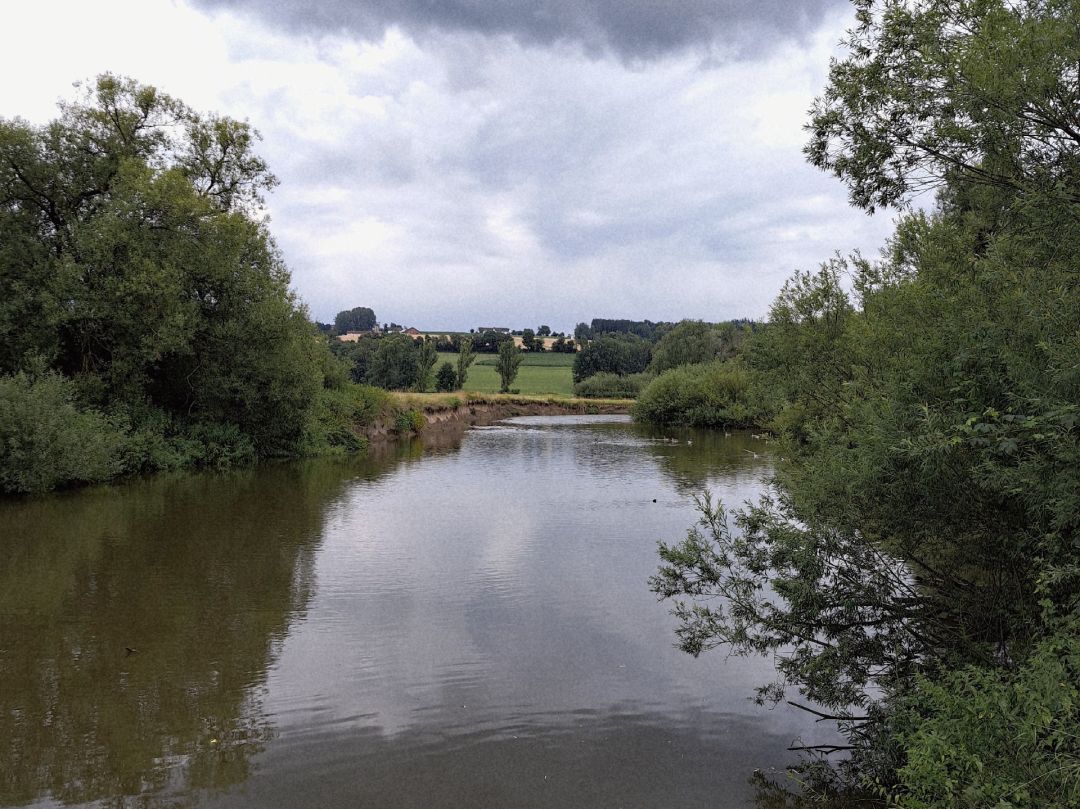 Rott (Pfarrkirchen) angeln