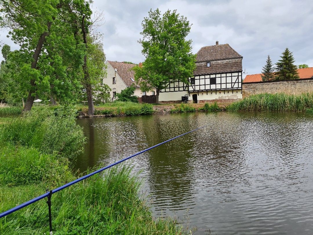 Hofeteich (Farnstädt) angeln