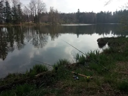 Friedlsee