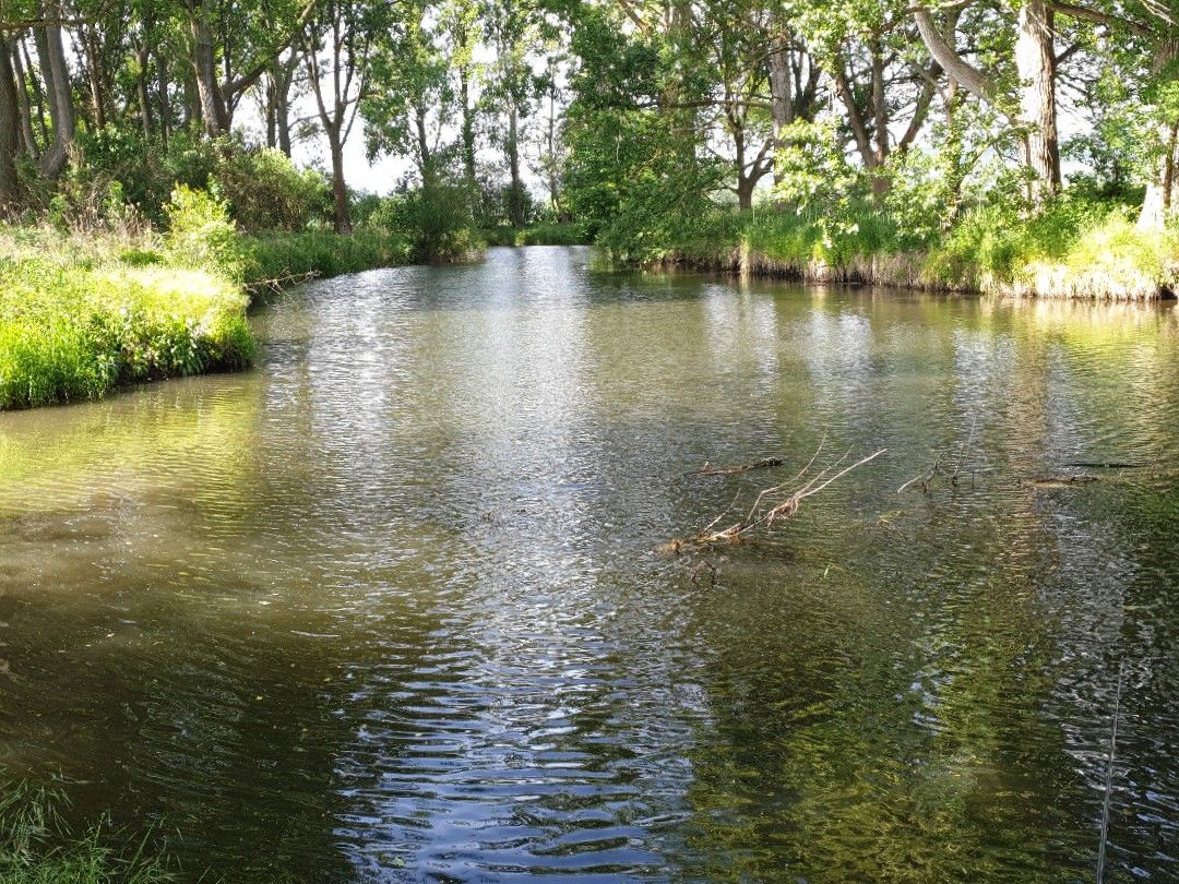 Oker (Ohrum-Kissenbrück) angeln