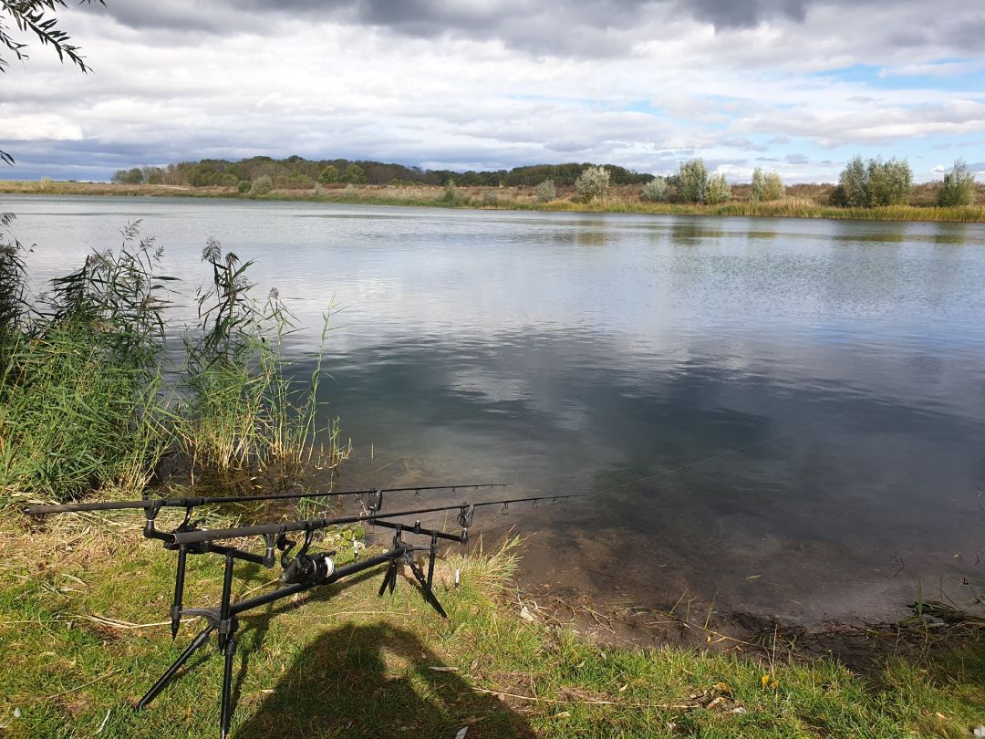 Barschsee (Geratal Kies) angeln